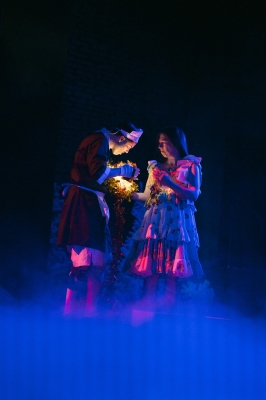 Nora oder Wie man das Herrenhaus kompostiert

© Marcella Ruiz Cruz 