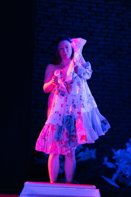 Nora oder Wie man das Herrenhaus kompostiert

© Marcella Ruiz Cruz 