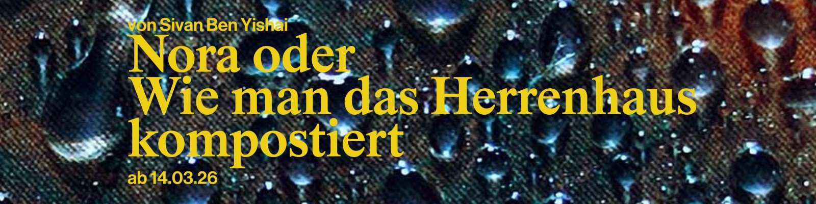 Nora oder Wie man das Herrenhaus kompostiert